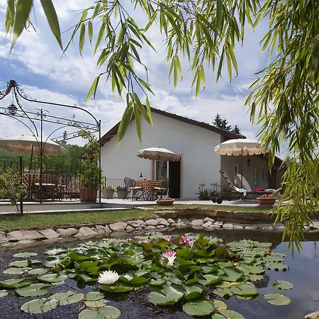 Marcarini * Neviglie