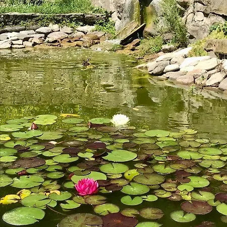 Kır Evi Marcarini *