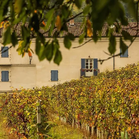 Marcarini * Neviglie